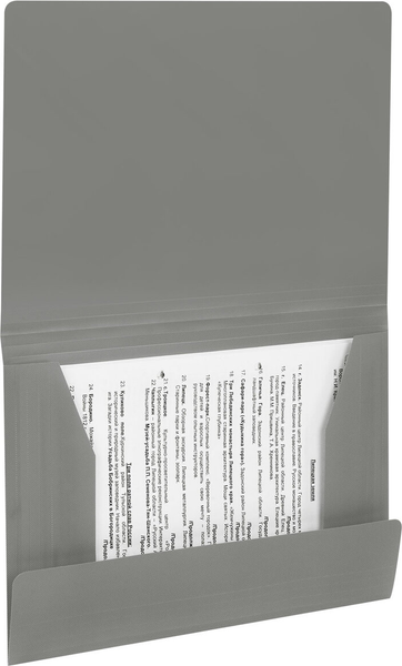 Изображение товара Папка для бумаг Brauberg Pixel / 273041 (серый)