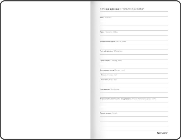 Изображение товара Ежедневник Brauberg Edge / 117149 (80л, синий)