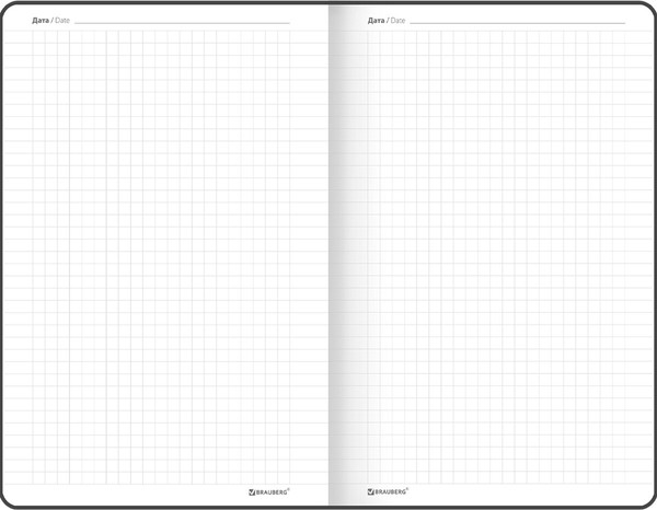 Изображение товара Ежедневник Brauberg Edge / 117149 (80л, синий)