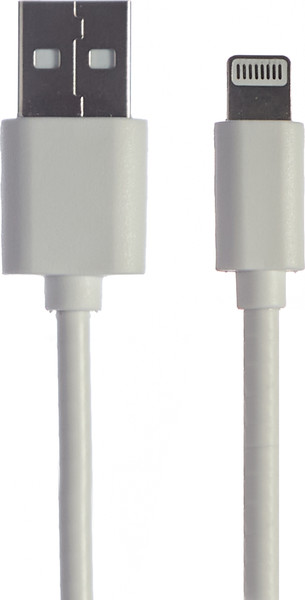 Изображение товара Зарядное устройство сетевое Bingo B2-U2, 2.1A с кабелем Lightning (белый)