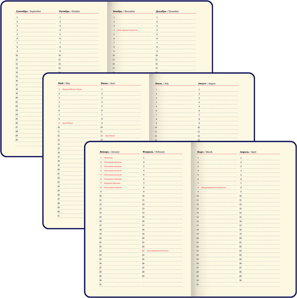 Изображение товара Ежедневник Brauberg Dainty / 117144 (160л, голубой)