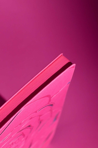 Изображение товара Набор канцелярский подарочный Escalada Виннер / 70562 (розовый)