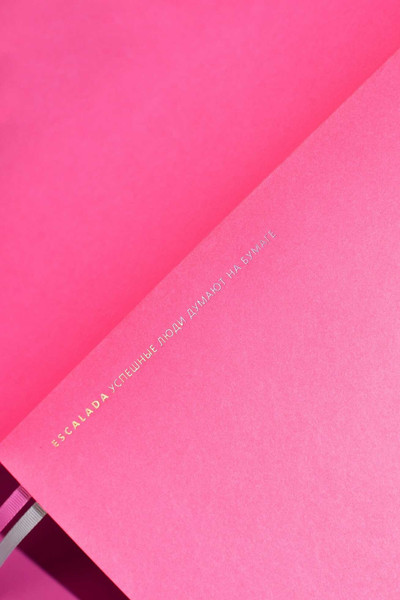 Изображение товара Набор канцелярский подарочный Escalada Виннер / 70562 (розовый)