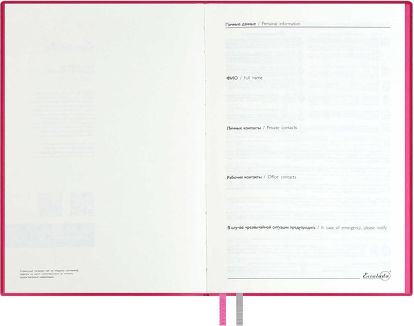 Изображение товара Набор канцелярский подарочный Escalada Виннер / 70562 (розовый)