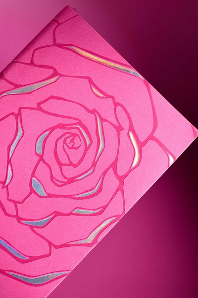 Изображение товара Набор канцелярский подарочный Escalada Виннер / 70562 (розовый)