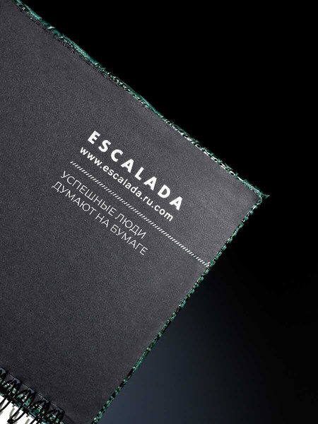 Изображение товара Планинг Escalada Аллигатор / 70753 (64л, зеленый)