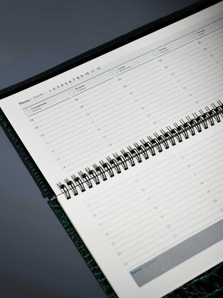 Изображение товара Планинг Escalada Аллигатор / 70753 (64л, зеленый)