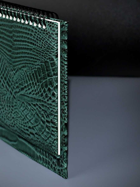 Изображение товара Планинг Escalada Аллигатор / 70753 (64л, зеленый)