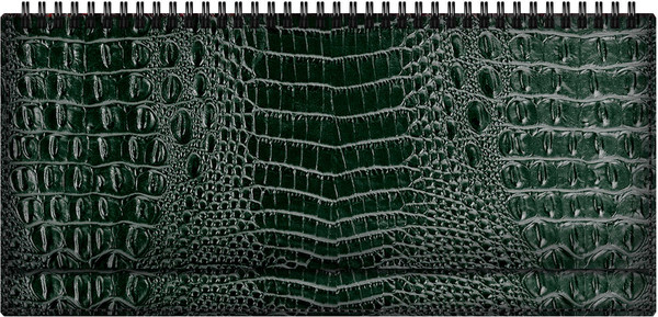 Изображение товара Планинг Escalada Аллигатор / 70753 (64л, зеленый)