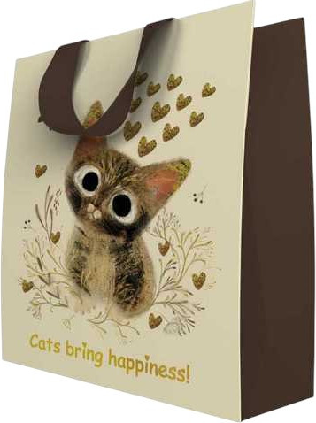 Изображение товара Пакет подарочный Bruno Visconti Love Me / 2-852/08