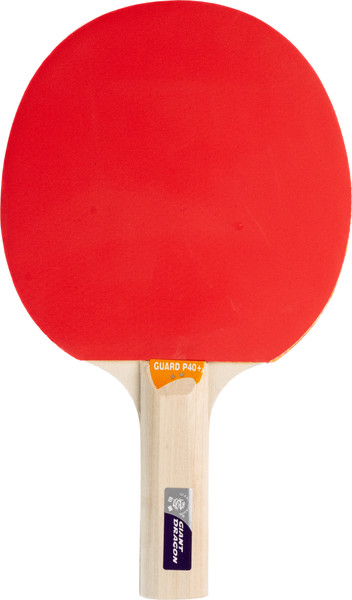 Изображение товара Ракетка для настольного тенниса Giant Dragon Guard 2 Star / 51.622.04.1 (прямая)
