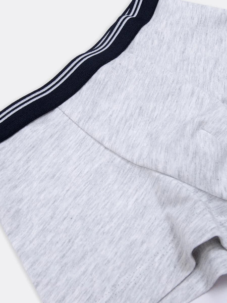 Изображение товара Трусы детские Mark Formelle 413345 (р.104/110-56-51, серый меланж 4306-А)