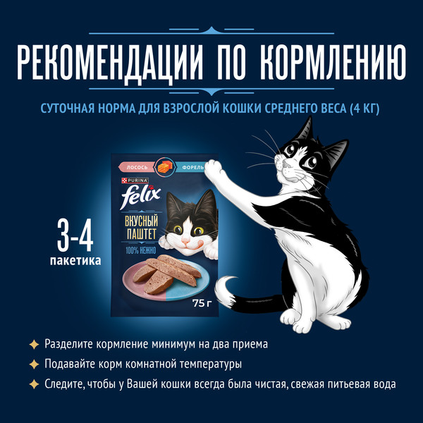 Изображение товара Влажный корм для кошек Felix Вкусный паштет Лосось и форель (75г)