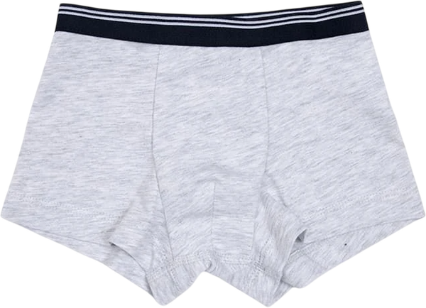 Изображение товара Трусы детские Mark Formelle 413345 (р.116/122-60-54, серый меланж 4306-А)