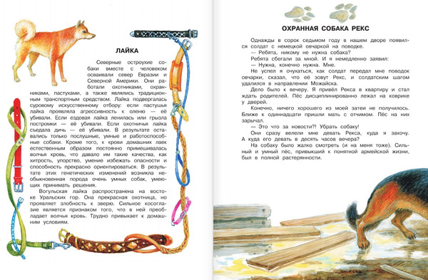 Изображение товара Книга АСТ Как правильно любить собак. Рассказы, твердая обложка (Успенский Эдуард)