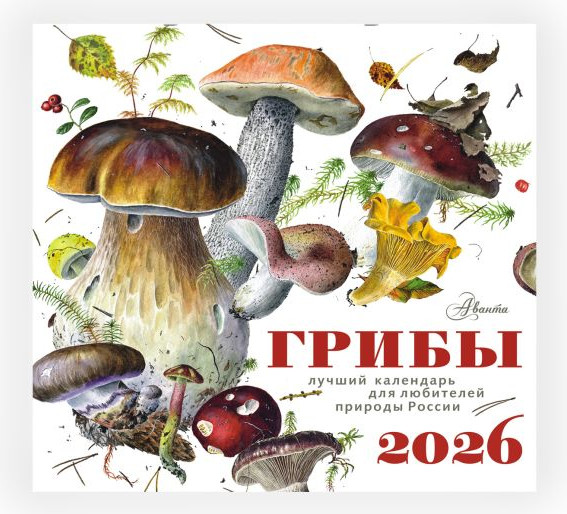 Изображение товара Календарь настенный АСТ Грибы. 2026 год (9785171739638)