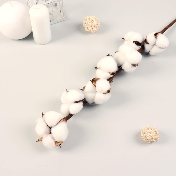 Изображение товара Сухоцвет No Brand Хлопок / 7081247 (70х5см)