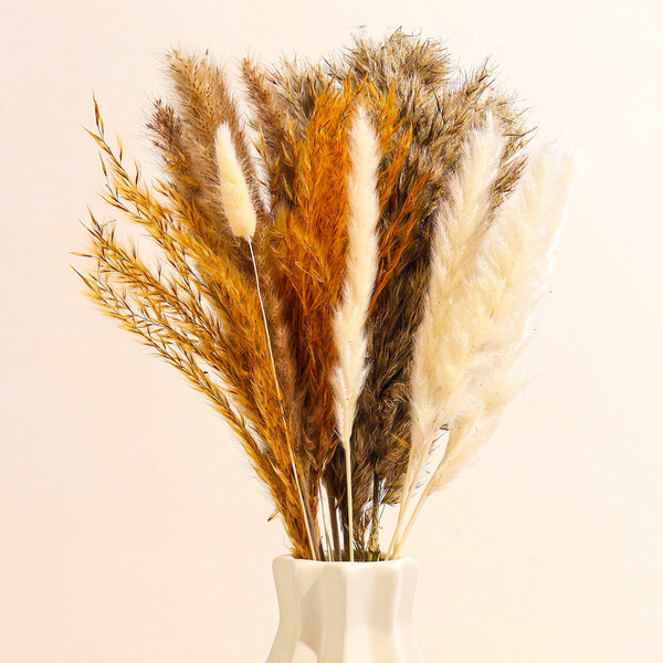 Изображение товара Букет из сухоцветов No Brand Изящность 5 видов / 10616142