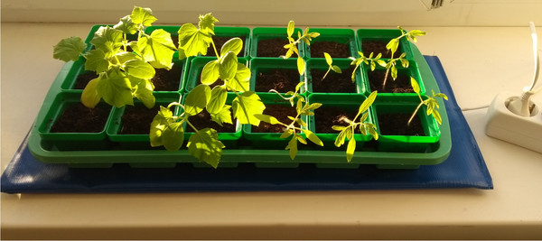 Изображение товара Греющий коврик для рассады ТеплоМакс Для проращивания семян рассады 50x25 / 756693216-2015