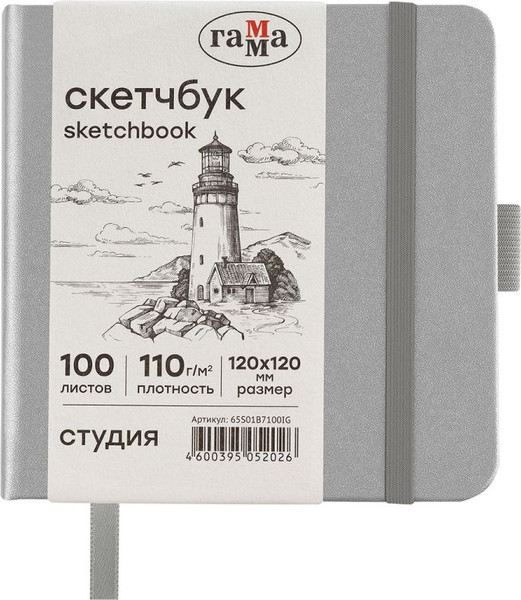 Изображение товара Скетчбук ГАММА Студия / 65S01B7100IG (100л, серебряный)