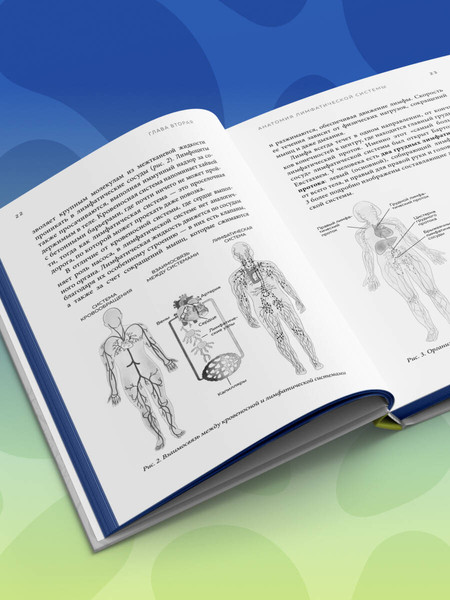 Изображение товара Книга Бомбора Все о лимфе, твердая обложка (Ивашков Владимир)