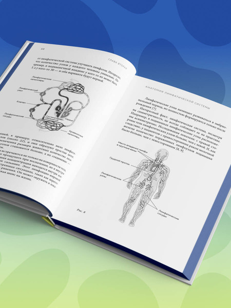 Изображение товара Книга Бомбора Все о лимфе, твердая обложка (Ивашков Владимир)