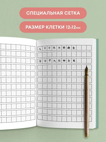 Изображение товара Тетрадь предметная Эксмо Для иероглифов. Фудзи и сакура / 9785042266164