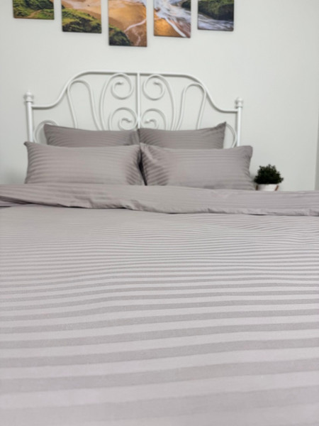 Изображение товара Комплект постельного белья Реноме 2сп Графитовая коллекция Витаж Ss-001 (страйп-сатин)