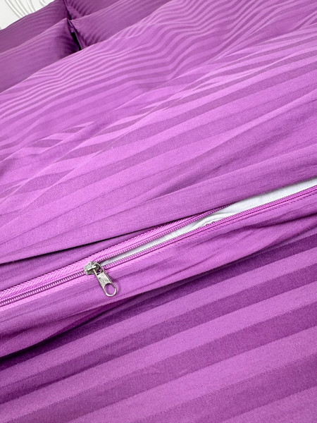 Изображение товара Комплект постельного белья Реноме 2сп Графитовая коллекция Сливовый Ss-007 (страйп-сатин)