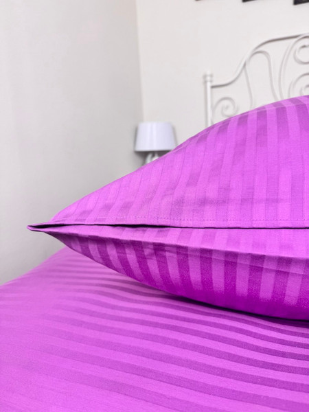 Изображение товара Комплект постельного белья Реноме 2сп Графитовая коллекция Сливовый Ss-007 (страйп-сатин)