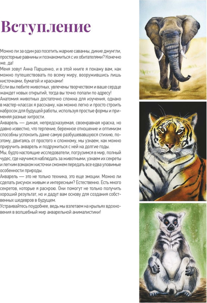 Изображение товара Нехудожественная книга Питер Школа рисования. Дикие животные акварелью, мягкая обложка (Паршенко Анна)