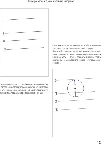 Изображение товара Нехудожественная книга Питер Школа рисования. Дикие животные акварелью, мягкая обложка (Паршенко Анна)