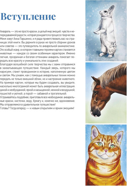Изображение товара Книга Питер Школа рисования. Домашние животные акварелью, мягкая обложка (Паршенко Анна)