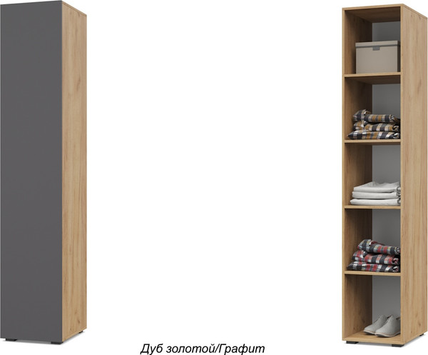 Изображение товара Шкаф-пенал Modern Челси Ч12 (золотой дуб/графит)