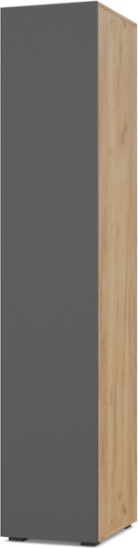 Изображение товара Шкаф-пенал Modern Челси Ч12 (золотой дуб/графит)