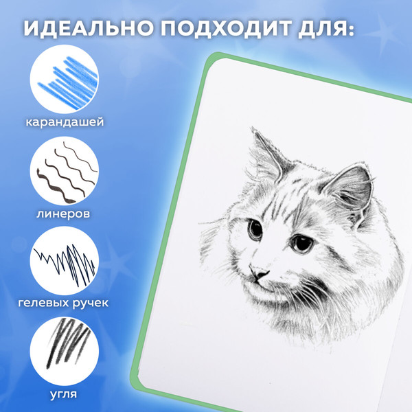 Изображение товара Скетчбук FUNSTER Гусь. Че смотришь? / 116891 (80л)