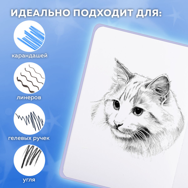 Изображение товара Скетчбук FUNSTER Кот Тыгыдык / 116897 (80л)