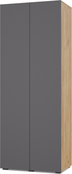 Изображение товара Шкаф Modern Челси Ч20 (золотой дуб/графит)