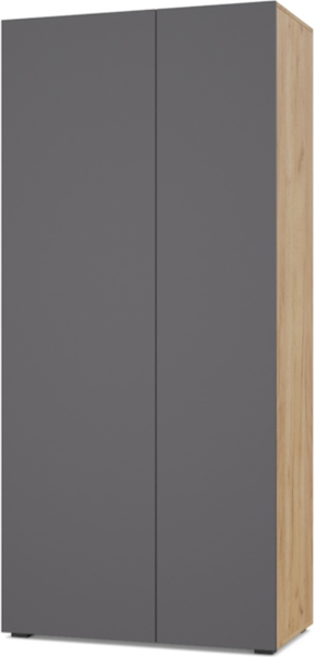 Изображение товара Шкаф Modern Челси Ч50 угловой (золотой дуб/графит)