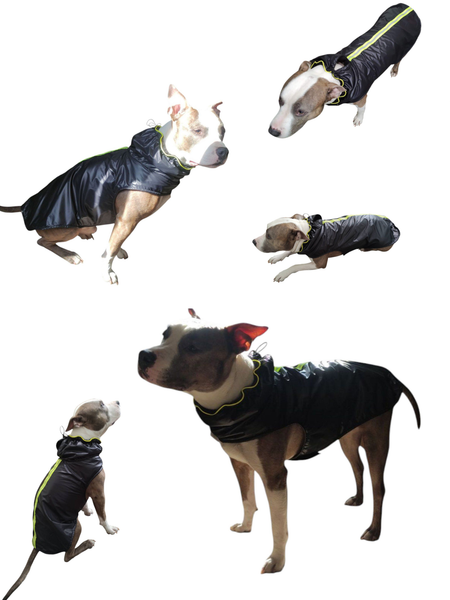 Изображение товара Дождевик для животных Лидер Тэкс Утепленный 01-25 (2XL, черный)