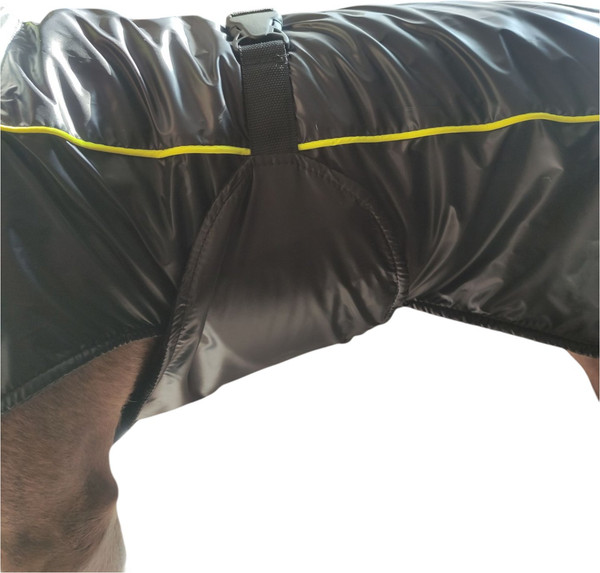 Изображение товара Дождевик для животных Лидер Тэкс Утепленный 02-25 (2XL, черный)