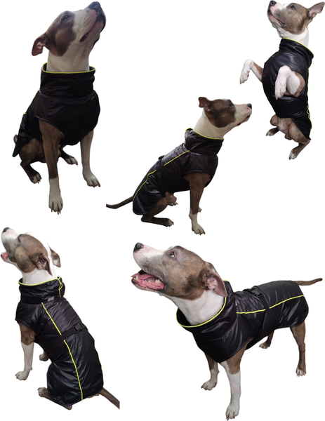 Изображение товара Дождевик для животных Лидер Тэкс Утепленный 02-25 (5XL, черный)