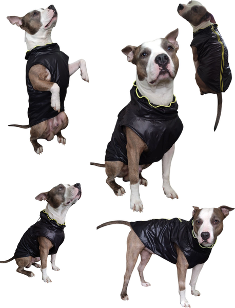 Изображение товара Жилетка для животных Лидер Тэкс Утепленный 03-25 (3XL, черный)