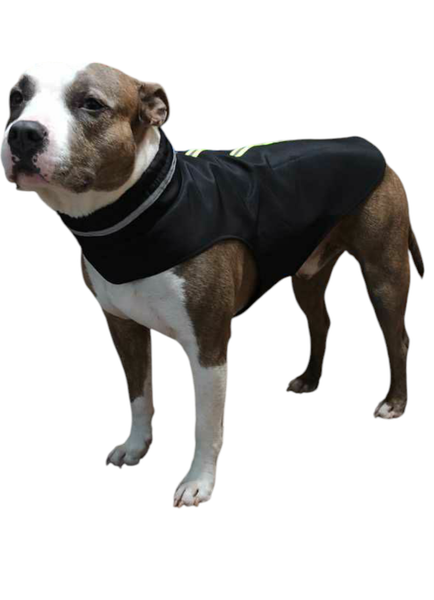 Изображение товара Дождевик для животных Лидер Тэкс 011-25 (3XL, черный)