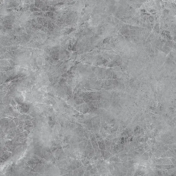 Изображение товара Плитка Eternal Madona Grey Glossy (600x600)