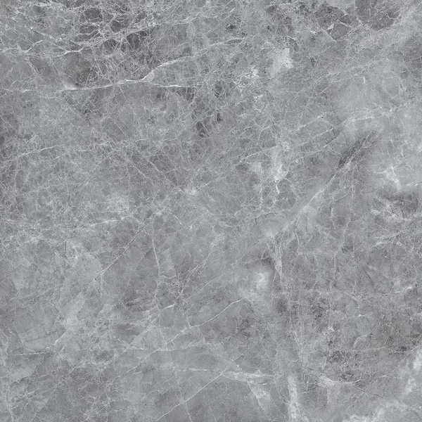 Изображение товара Плитка Eternal Madona Grey Glossy (600x600)