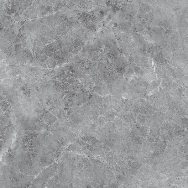 Изображение товара Плитка Eternal Madona Grey Glossy (600x600)