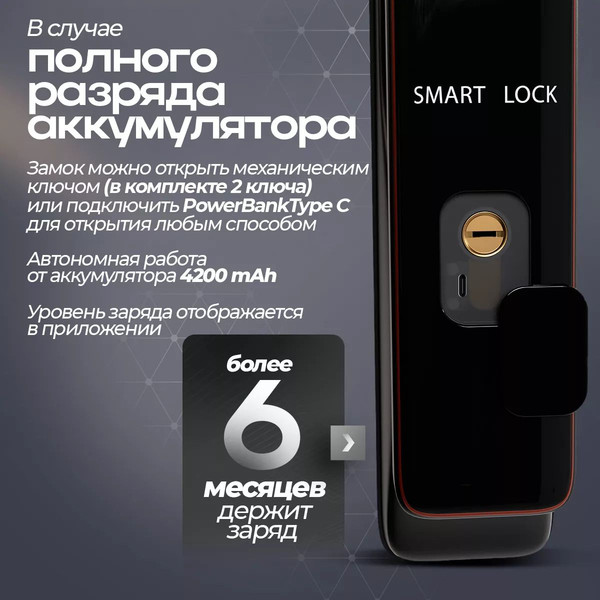 Изображение товара Входная дверь ГРАНИТ Роял Смарт 86 (86x205, правая)