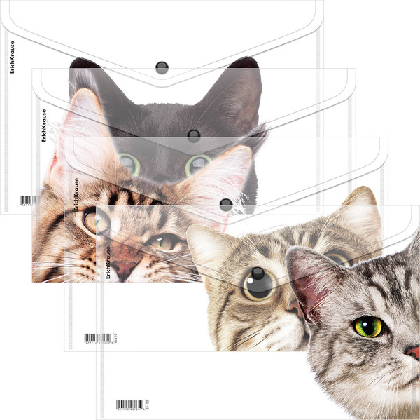 Изображение товара Папка-конверт Erich Krause Hiding Cats / 61155 (в ассортименте)