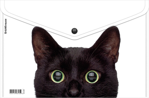 Изображение товара Папка-конверт Erich Krause Hiding Cats / 61155 (в ассортименте)